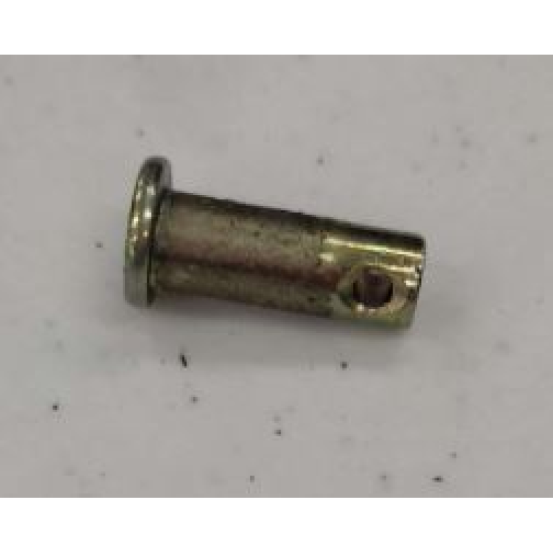 Pino Trambulador Dewparts
