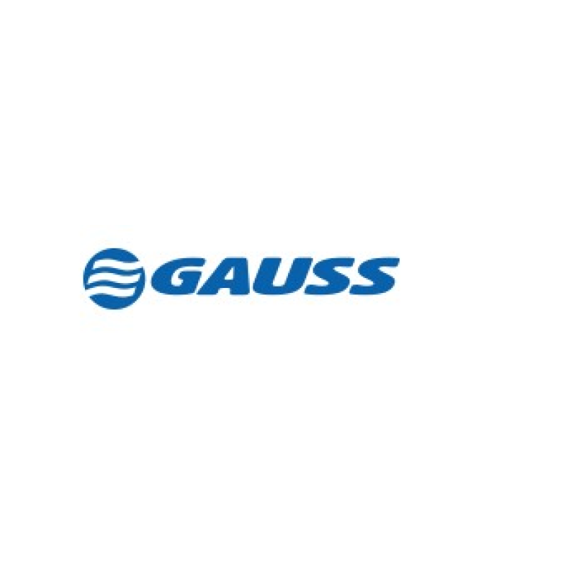 Regulador Voltagem Gauss