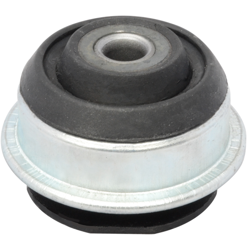 Bucha Braco Diant Mobensani