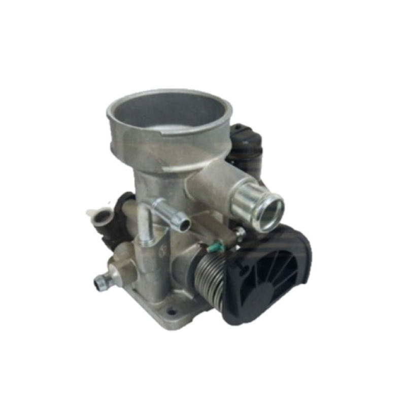 Corpo Borboleta Delphi