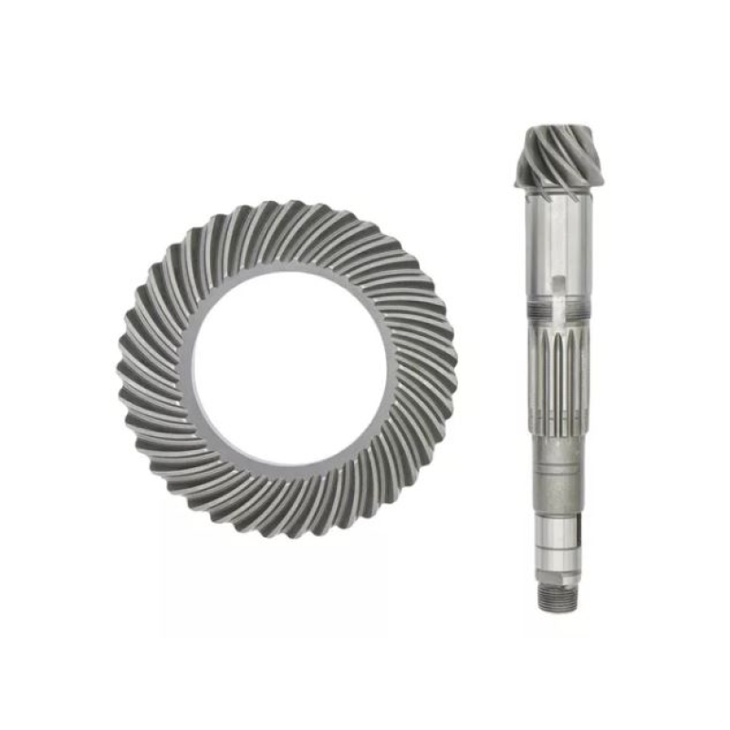 Coroa E Pinhao Accp01001