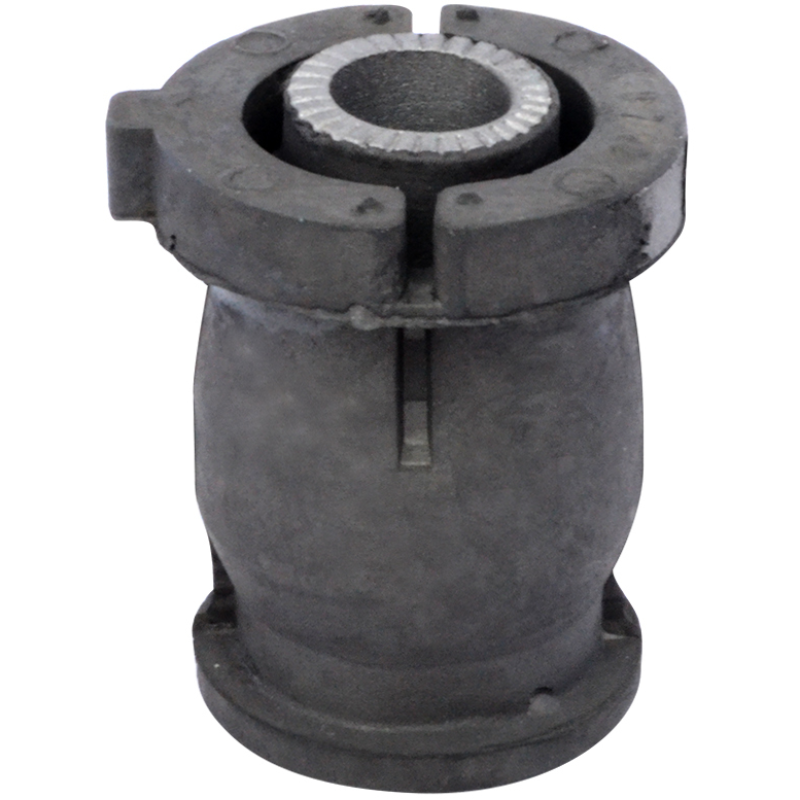 Bucha Band Diant Mobensani