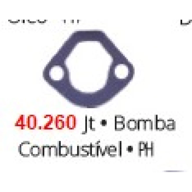 Junta Bomba Combustivel 40260 Brasvetec