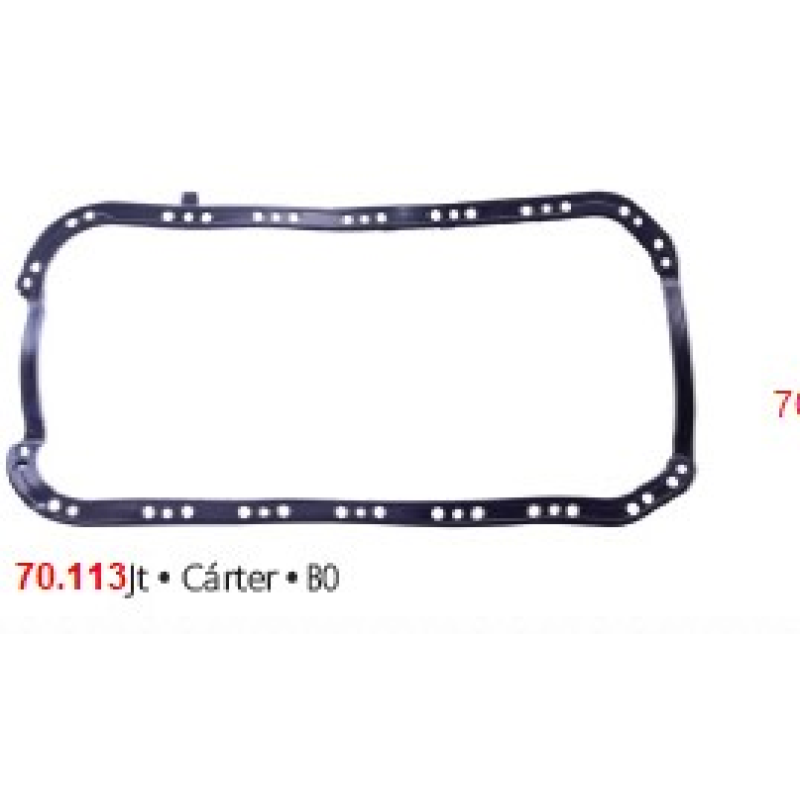 Junta Carter 70113 Brasvetec