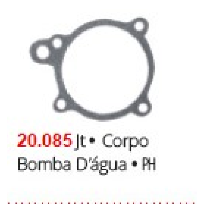 Junta Bomba Agua 20085 Brasvetec