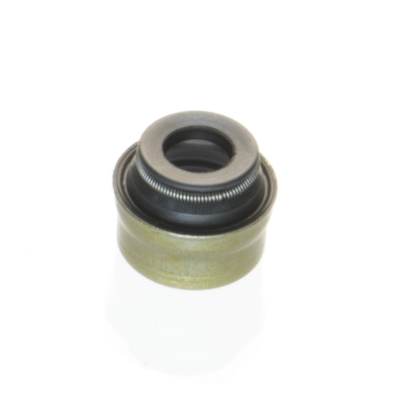 Retentor Valvula Sabo