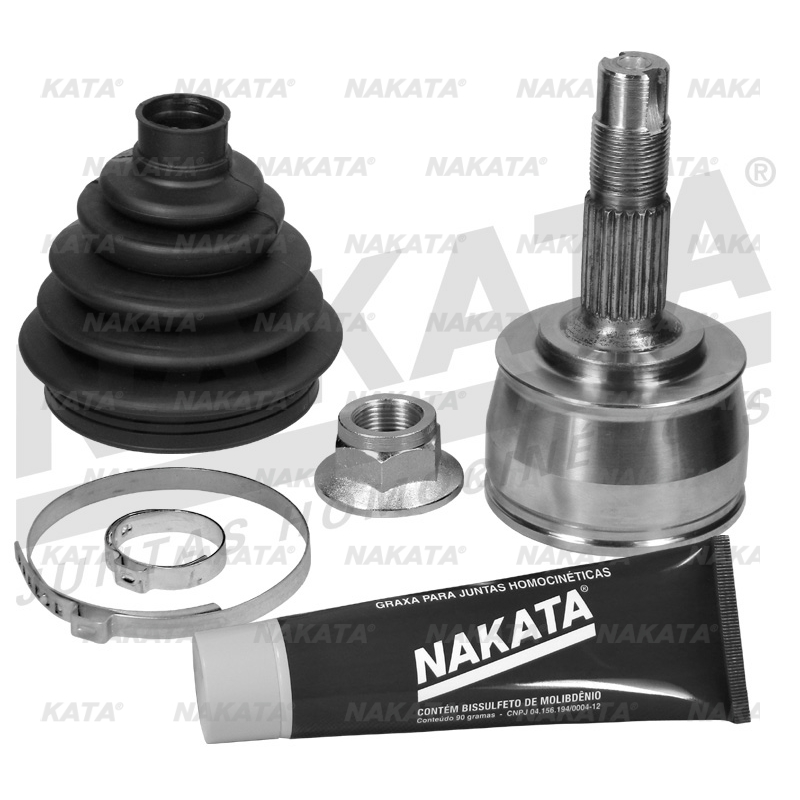 Homocinetica Nakata