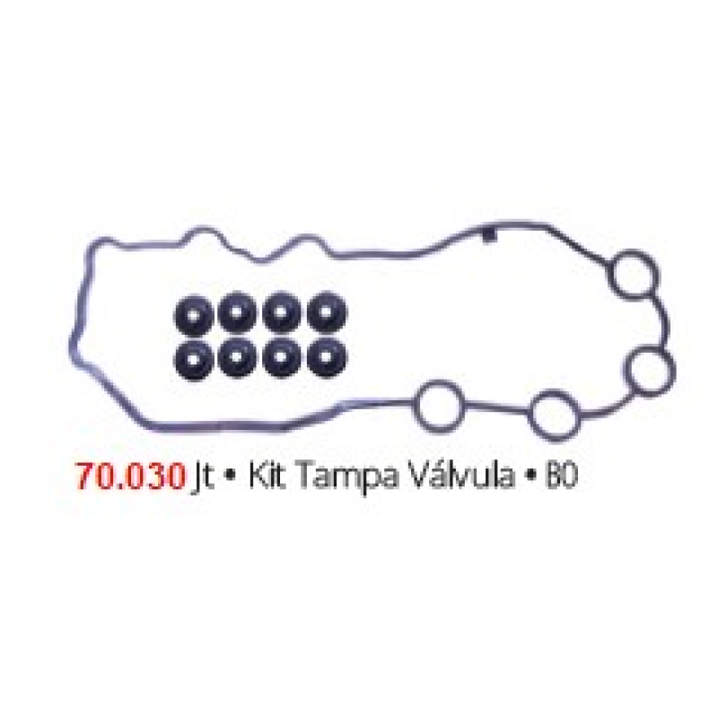Junta Tampa Valvula 70030 Brasvetec