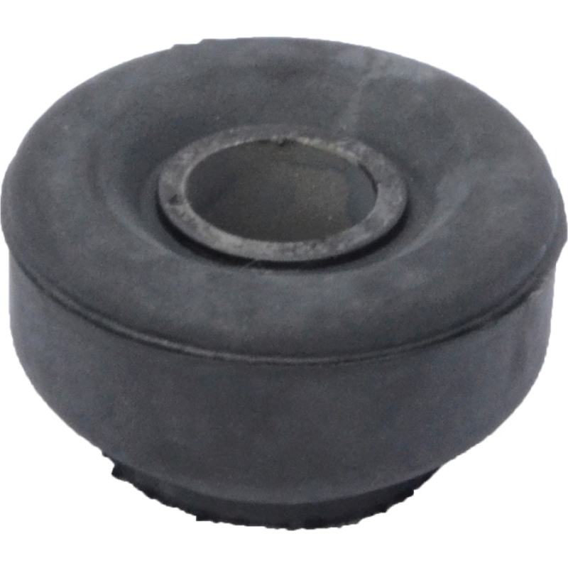 Bucha Barra Estab Diant Mobensani