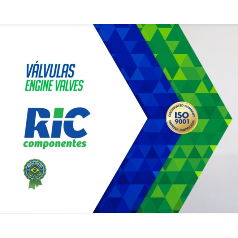 Valvula Esc Ricvalvulas