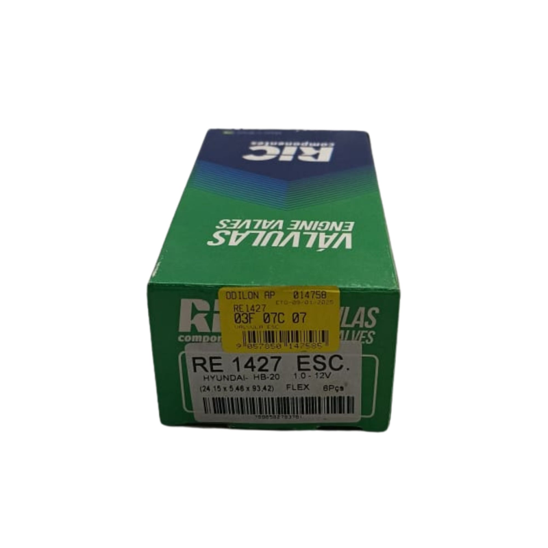 Valvula Esc Ricvalvulas