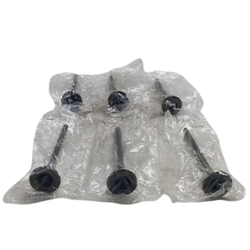 Valvula Esc Ricvalvulas