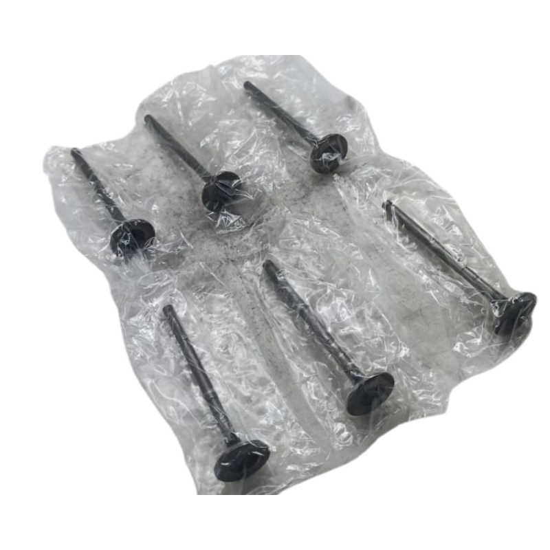 Valvula Esc Ricvalvulas