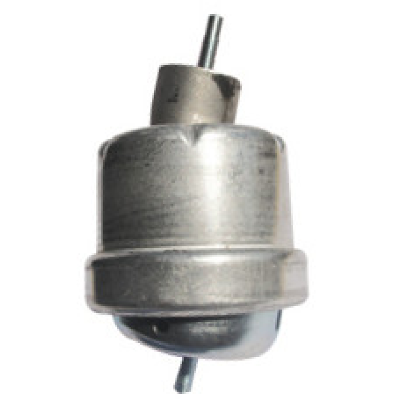 Coxim Diant Mt Mobensani