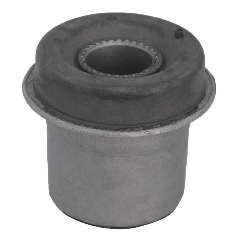 Bucha Band Diant Sup Mobensani