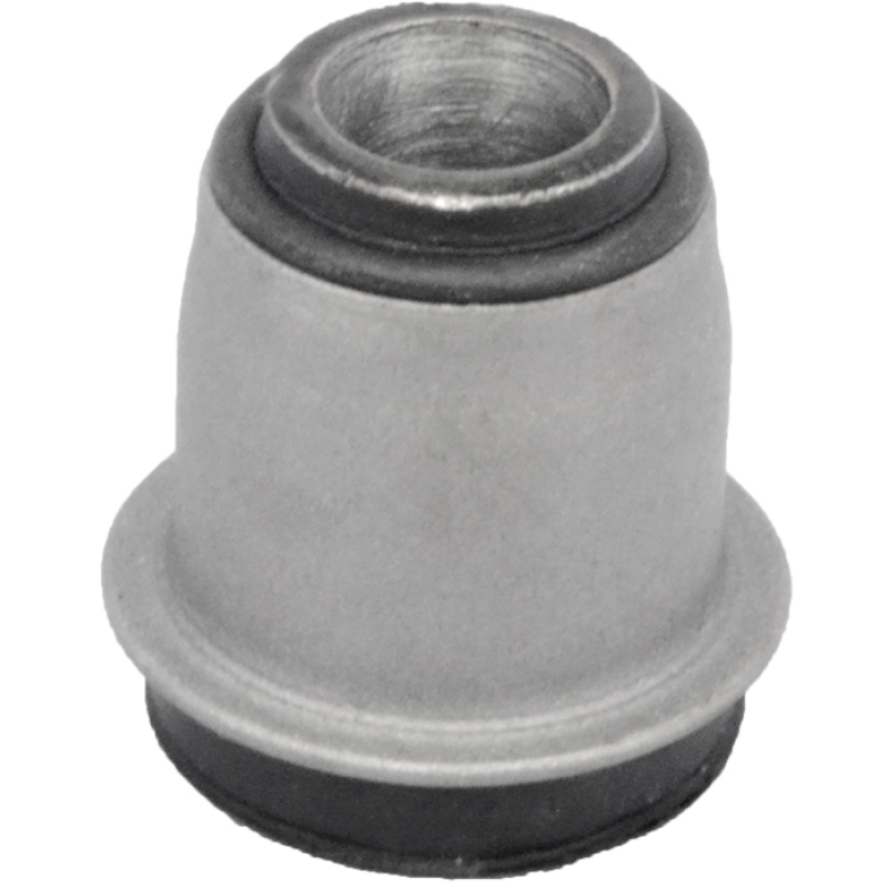 Bucha Band Sus Tras Mobensani