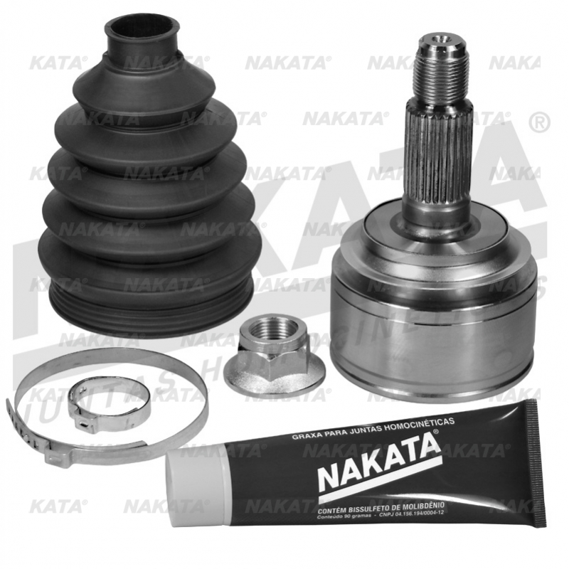 Homocinetica Nakata