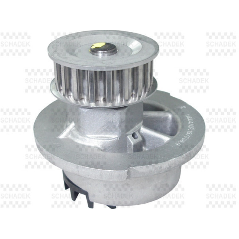 Bomba Agua Schadek