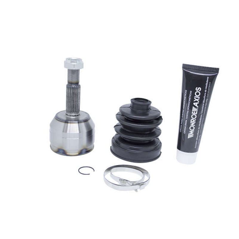 Homocinetica 5466036 Axios