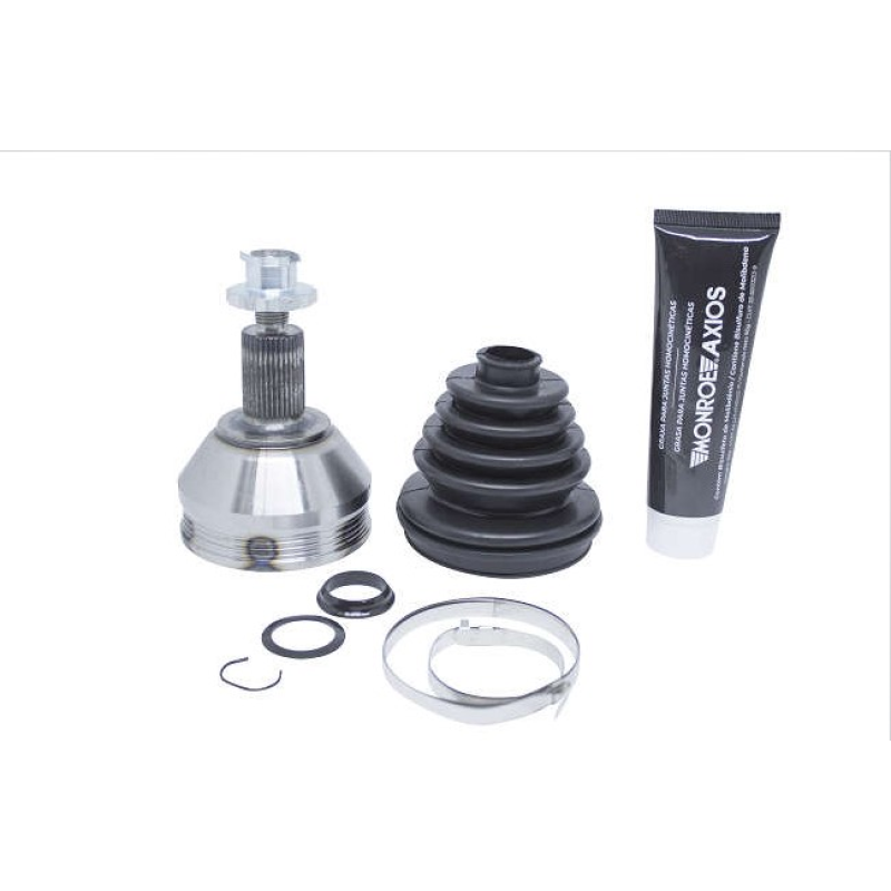 Homocinetica 5466034 Axios