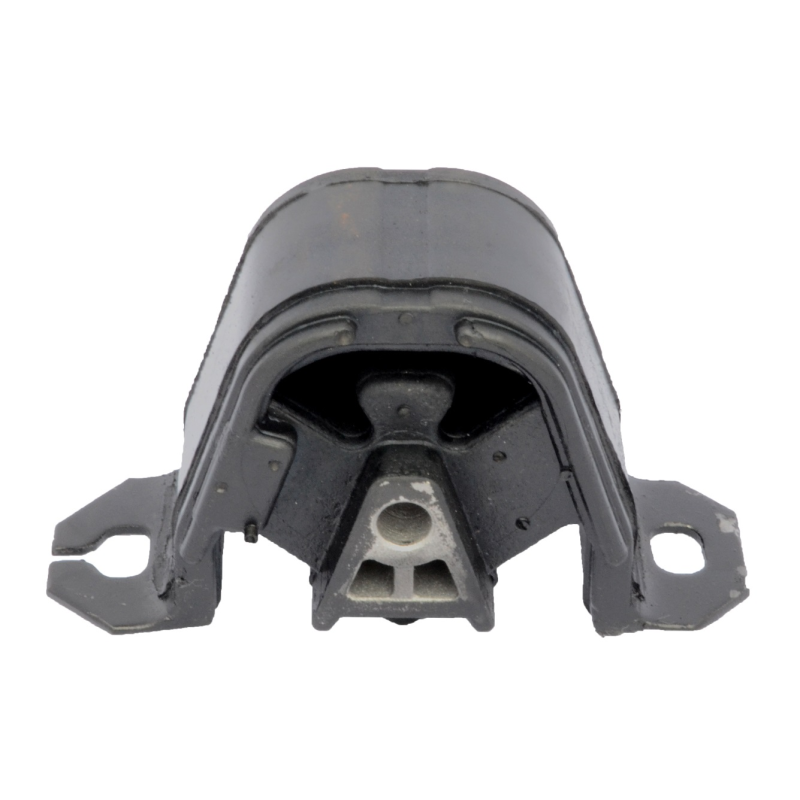 Coxim Tras Mt Mobensani