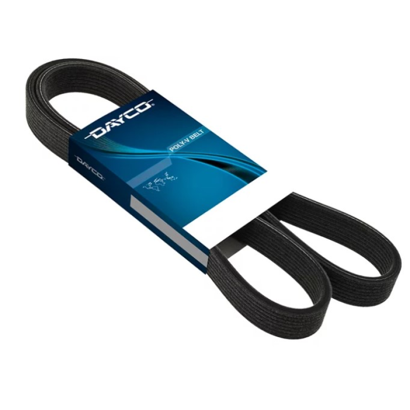 Correia Poli-v Dayco