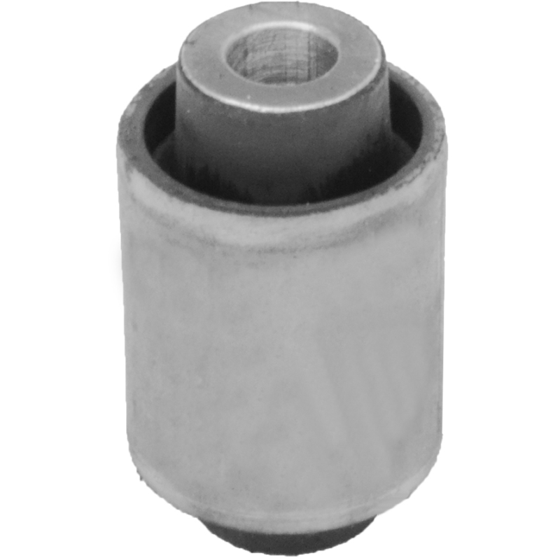 Bucha Band Diant Mobensani