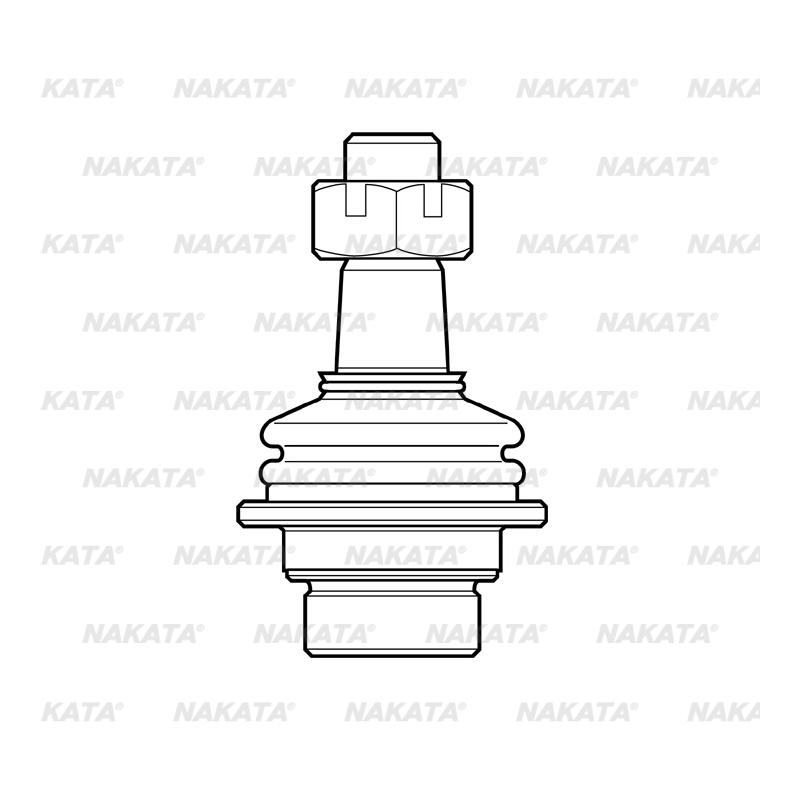 Pivo Inferior Nakata