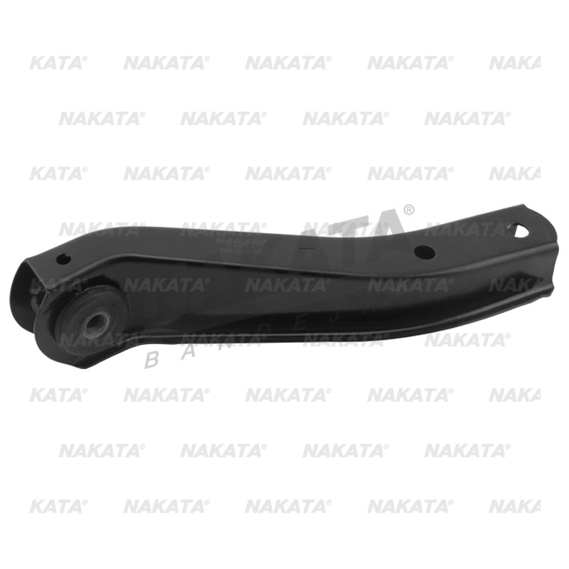 Bandeja Diant Esq Nakata