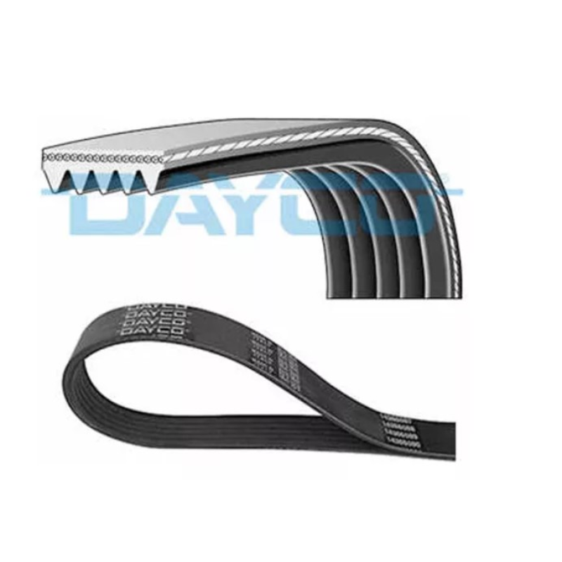 Correia Frisada Dayco