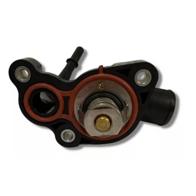 Valvula C/ Carcaca Fiat