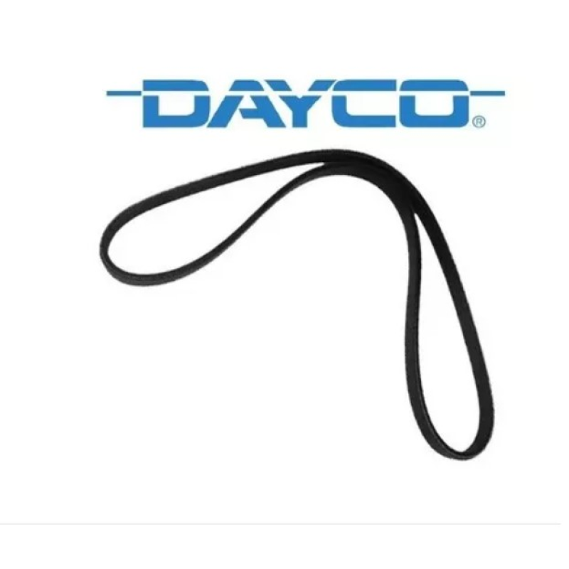 Correia Poli-v Dayco