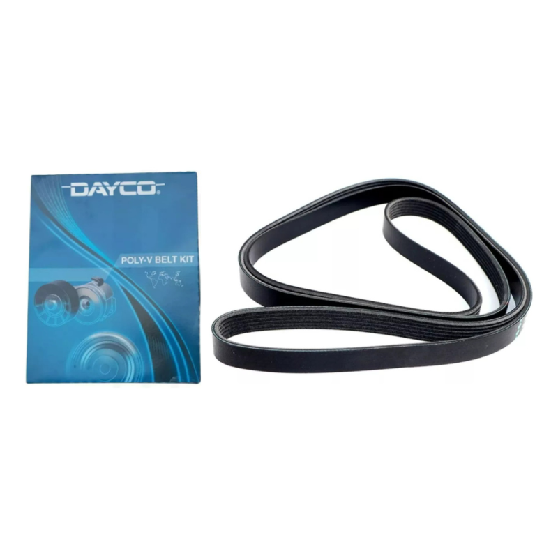 Correia Frisada Elastica Dayco