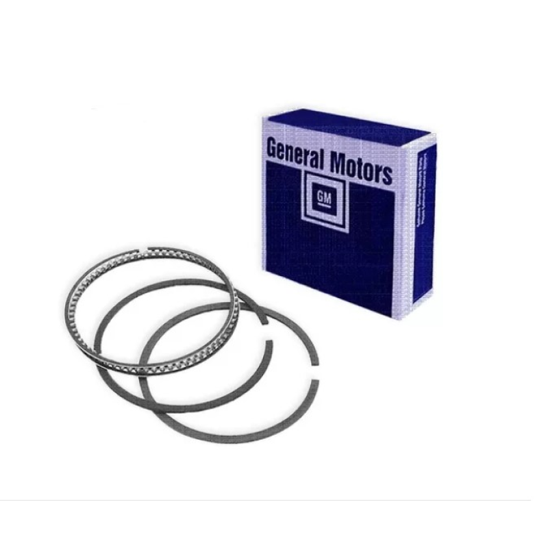 Anel Segmento 94713299 Gm
