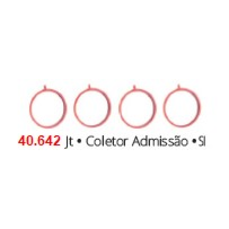 Junta Col Admissao 40642 Brasvetec