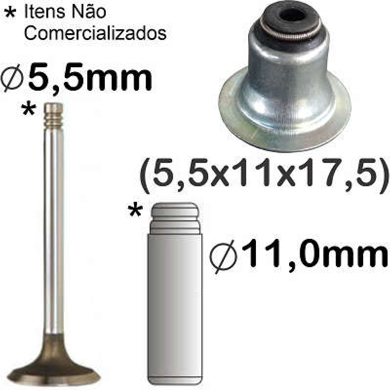 Retentor Valvula Bastos