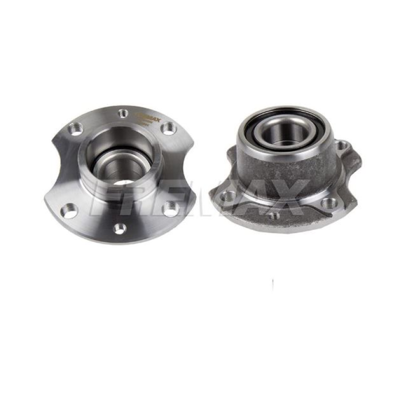 Cubo Roda Tras Fremax