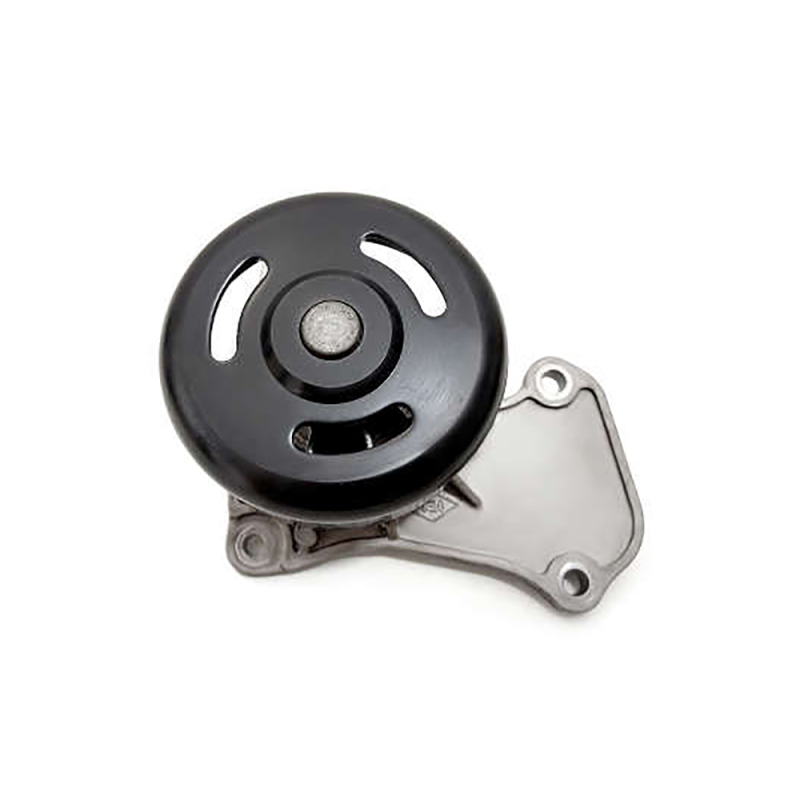 Bomba Agua C/ Polia Indisa