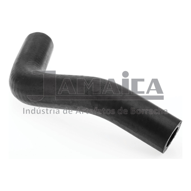 Mangueira Ar Quente Jamaica