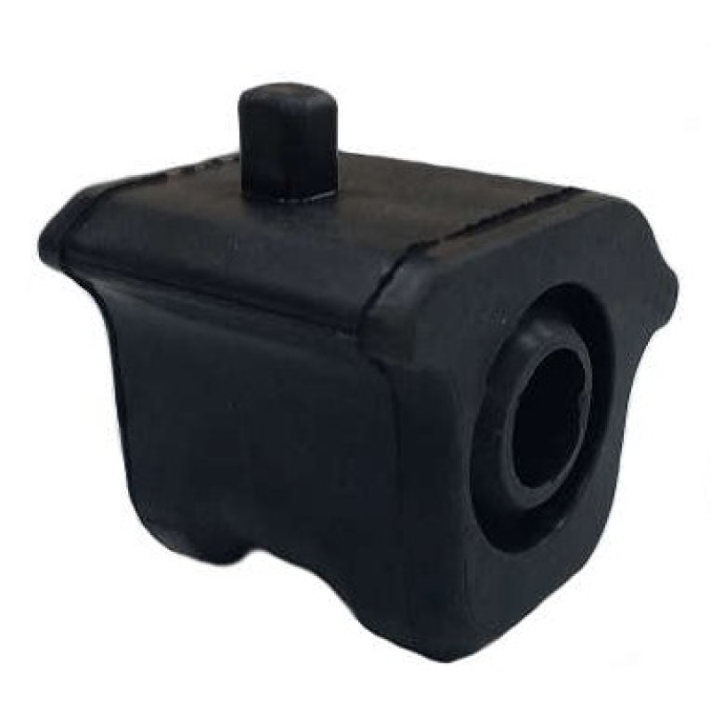 Bucha Barra Estab Mobensani