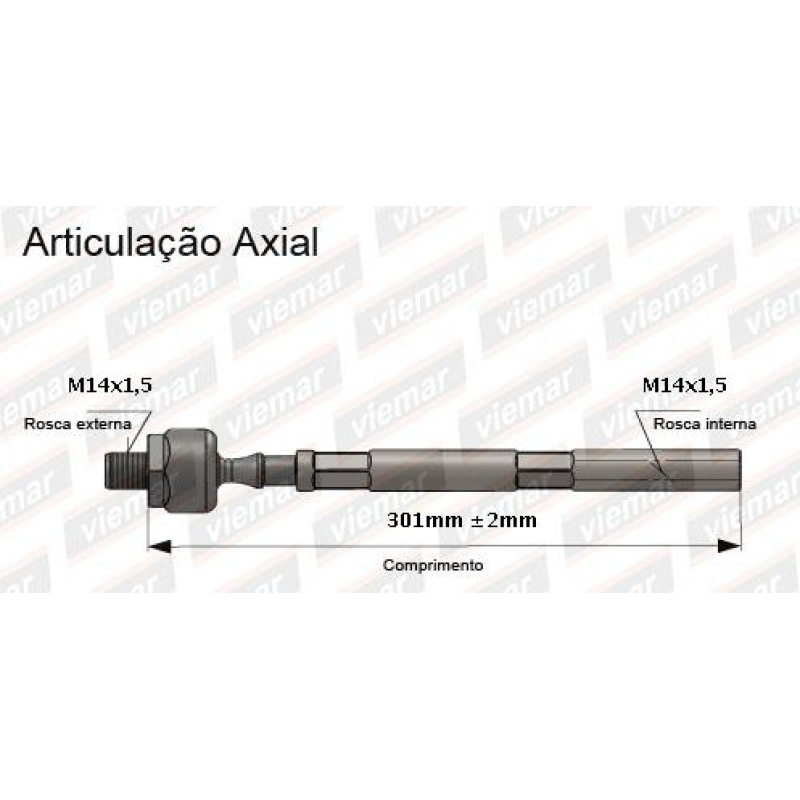 Articulacao Zm