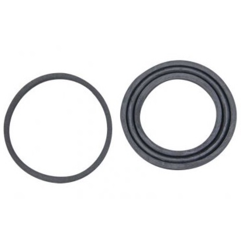 Reparo Pinca Bacurity