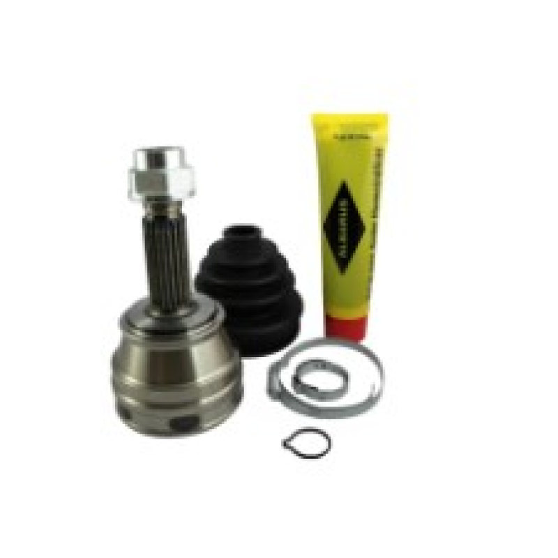 Homocinetica Alb1491599 Albarus