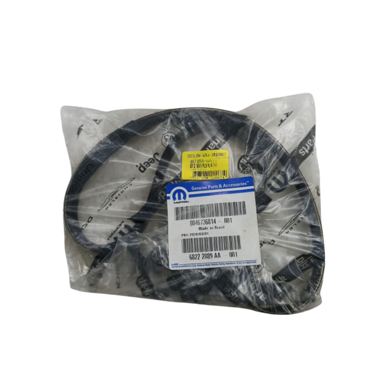 Correia Frisada Fiat