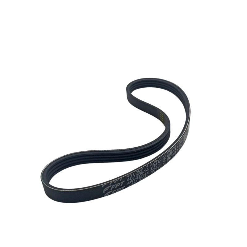 Correia Frisada Fiat