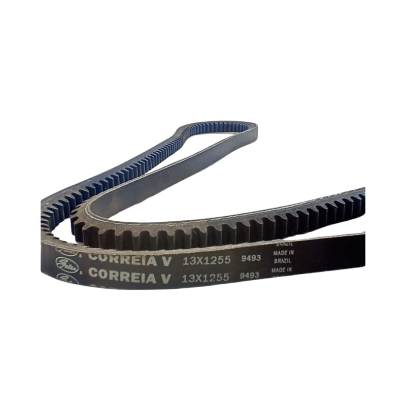 Correia Poli-v Gates