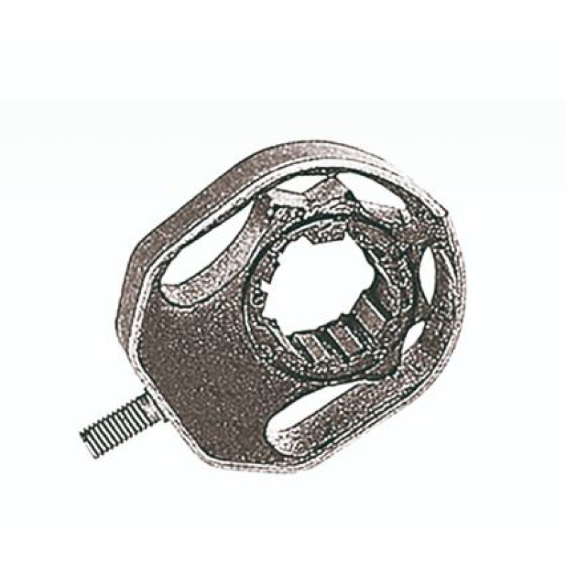 Suporte Cambio Borflex