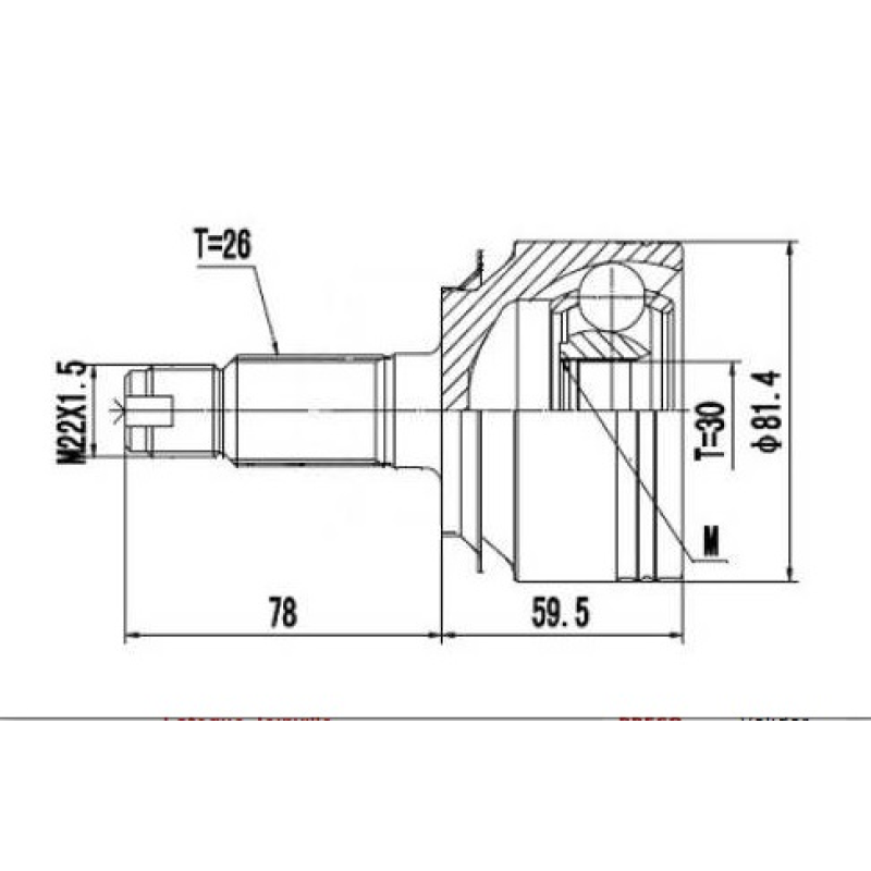 Homocinetica Devigili