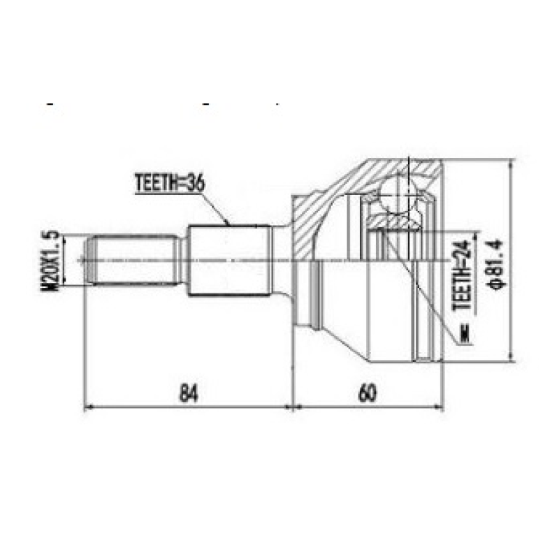 Homocinetica Devigili