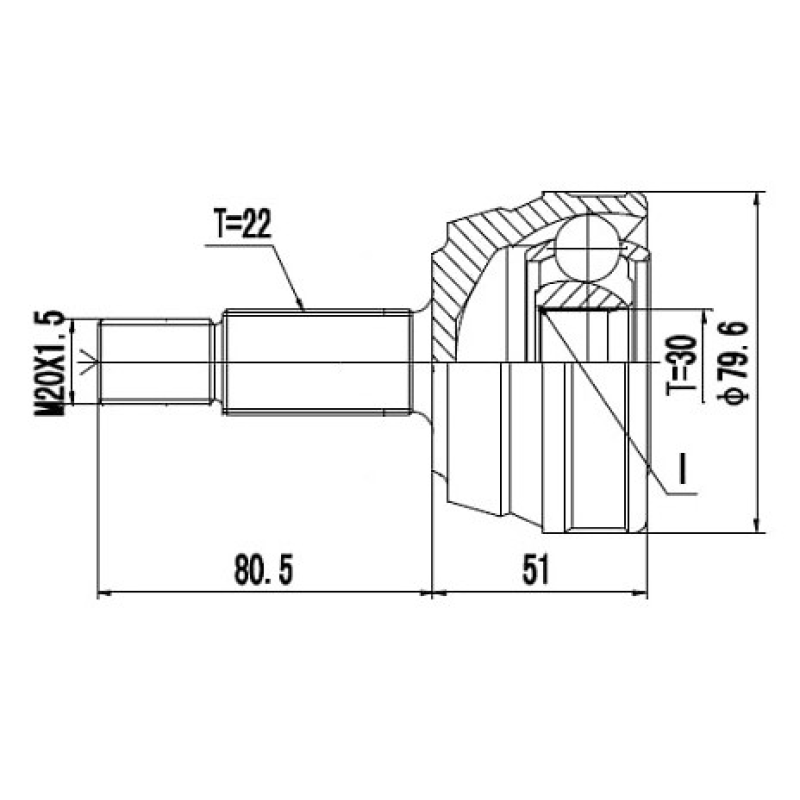 Homocinetica Devigili